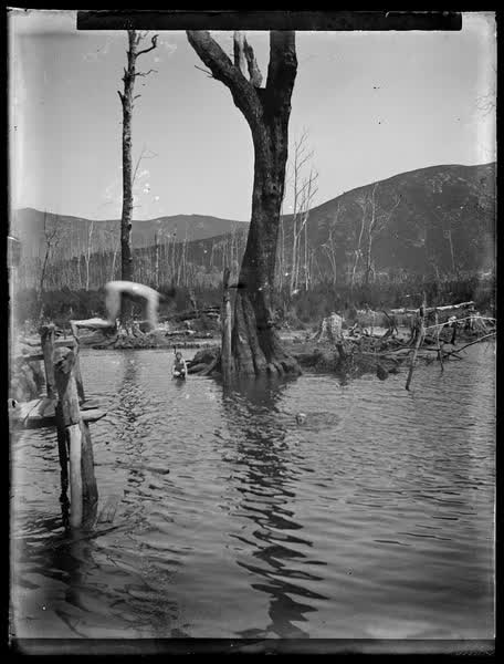 Man diving into water, 1900