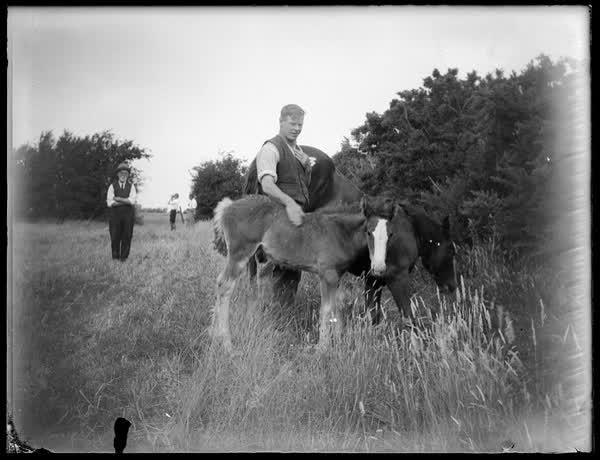 Sutton men with a horse and a foal, 1928