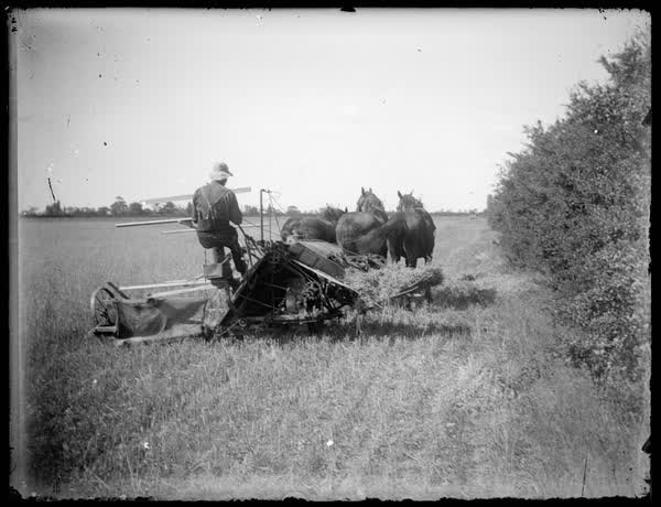 Man on horse drawn machinery, 1900