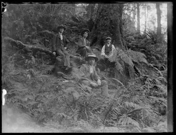 Four men sitting in a forest, 1900