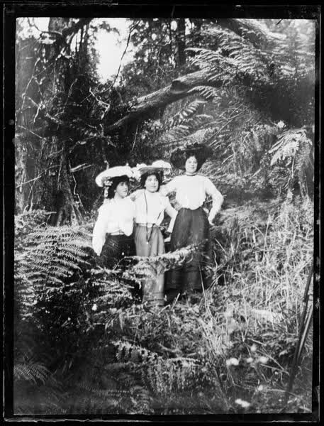 Three women standing in bush, 1900