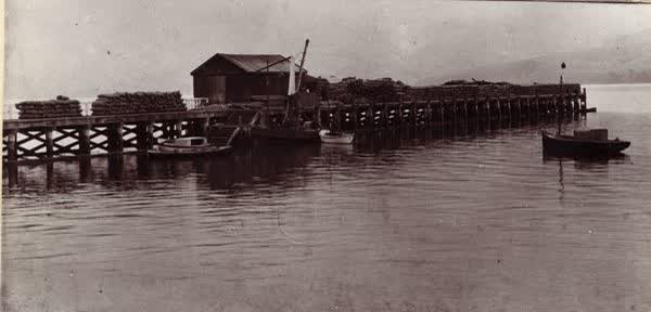 Sacks of seed on wharf, 1910