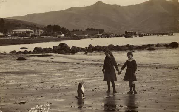 Pompey & friends, 1914