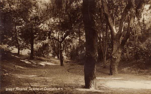 Akaroa Domain, 1914