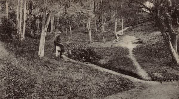 Man in Akaroa Domain, 1906