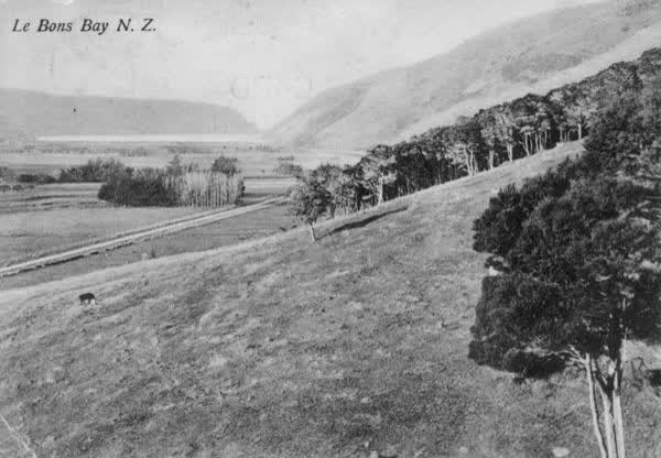Le Bons Bay N.Z., 1909