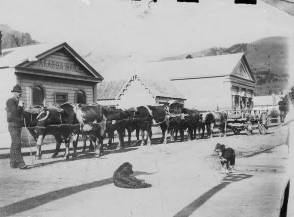 Akaroa Mail, Library and Gaiety Hall, 1880