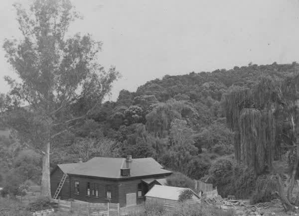 Mt Leinster, 1890