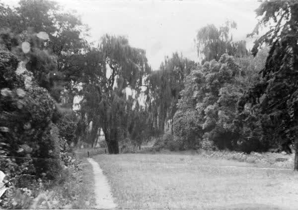 Mt Leinster garden, 1900