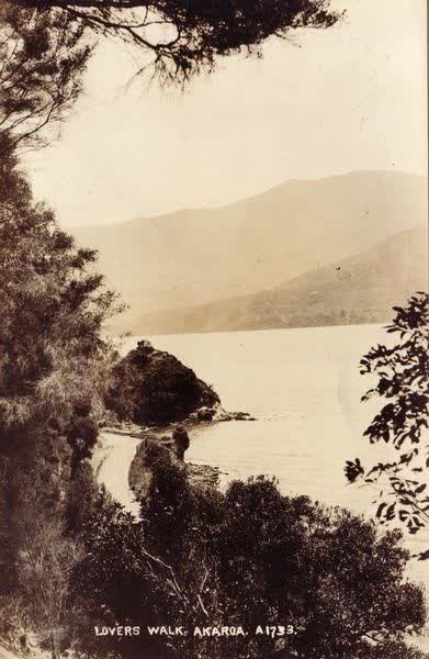 Akaroa Harbour from Lover's Walk, 1919