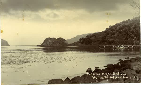 Wainui Wharf and headsJan Shuttleworth collection, 1909