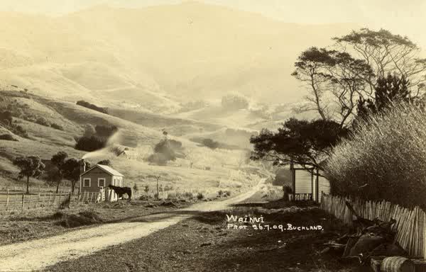 Wainui Co-Operative Dairy Factory and Post and Telephone OfficeJan Shuttleworth collection, 1909