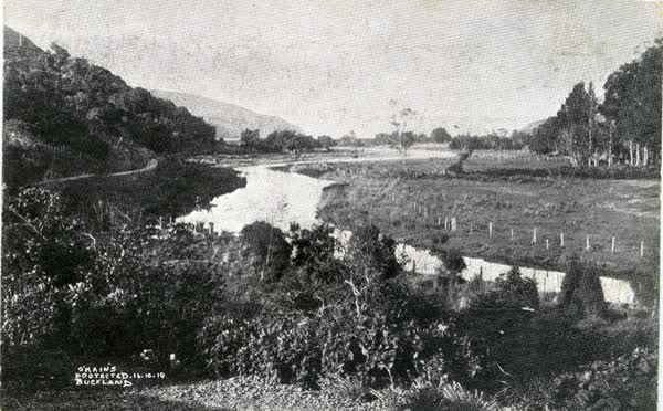 Okains Bay river through paddocksJan Shuttleworth collection, 1910