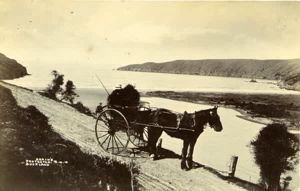 Horse and carriage on Chorlton RoadJan Shuttleworth collection, 1910