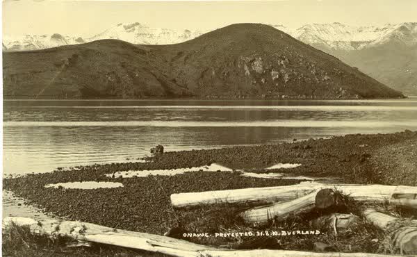 Ōnawe Peninsula from Barrys BayJan Shuttleworth collection, 1910