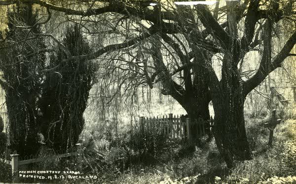 Trees and headstones at French CemeteryJan Shuttleworth collection, 1912