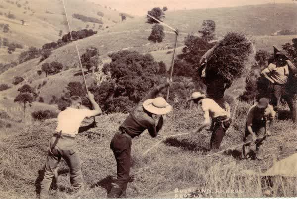 Men threshing grass seedJan Shuttleworth collection, 1912