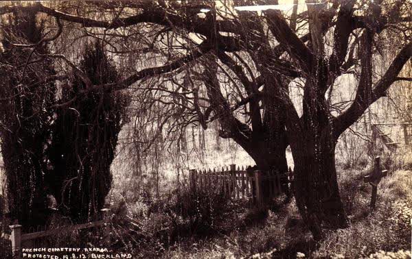 Trees and headstones at French CemeteryJan Shuttleworth collection, 1912