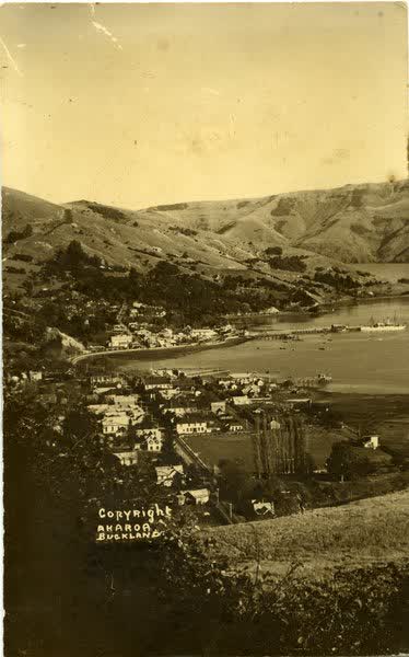 Cattle grazing at Morgans Road overlooking AkaroaJan Shuttleworth collection, 1913
