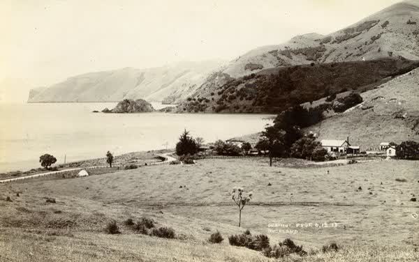 Wainui Co-Operative Dairy FactoryJan Shuttleworth collection, 1913