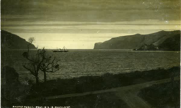 Akaroa heads from WainuiJan Shuttleworth collection, 1918