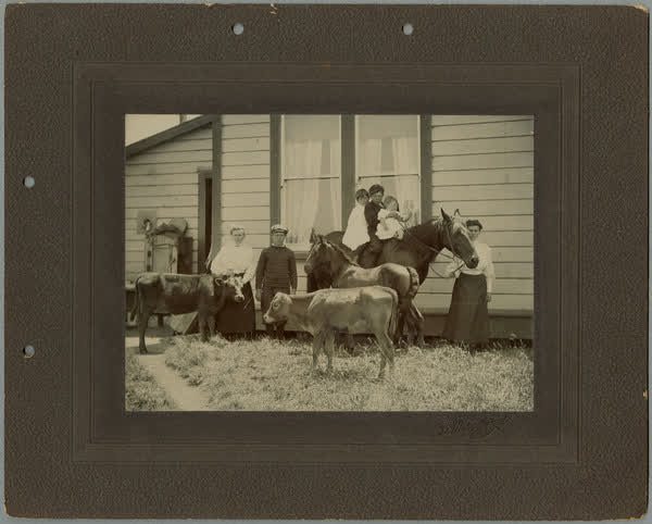 Chisnall family at Manaia, 1910