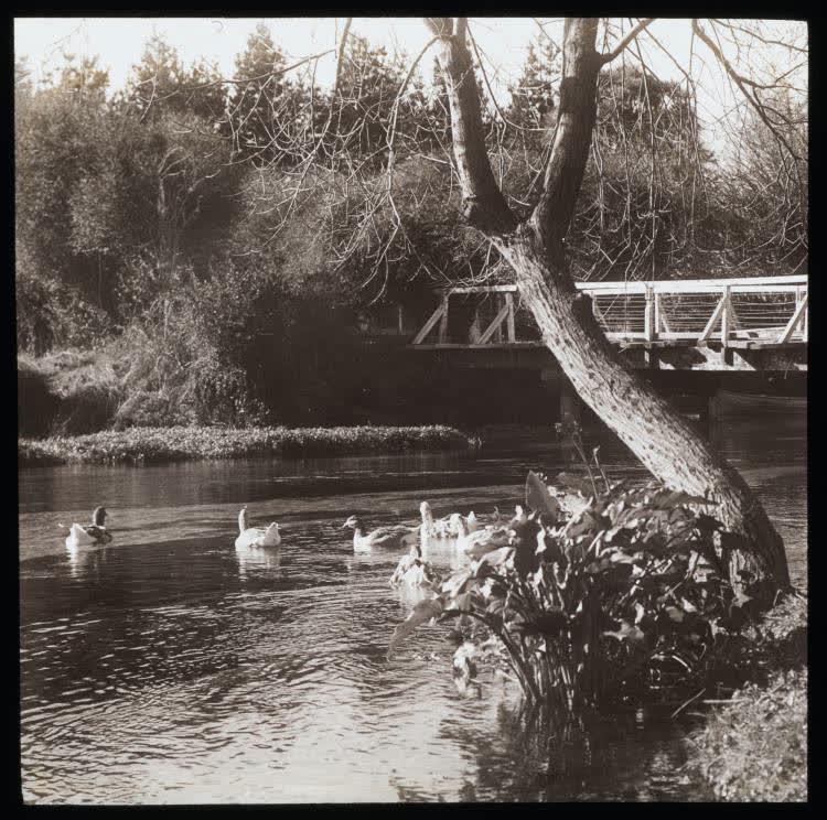 Avon River Bridge?, 1940
