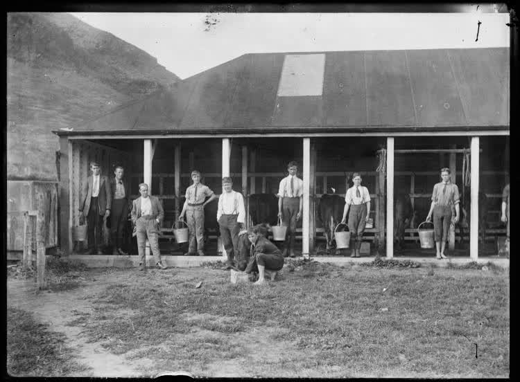 Milking shed, Sumner School for the Deaf, 1920
