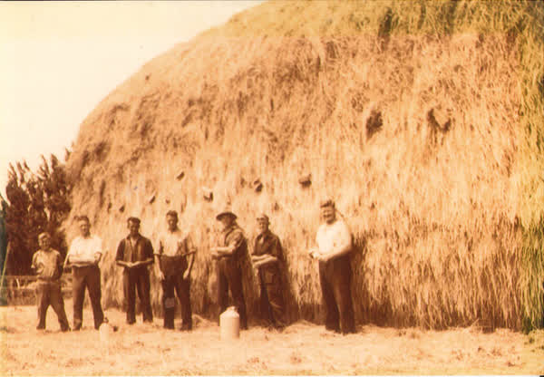 Farming in the 1930’s, 1930