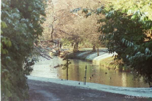 Avon River, 1990