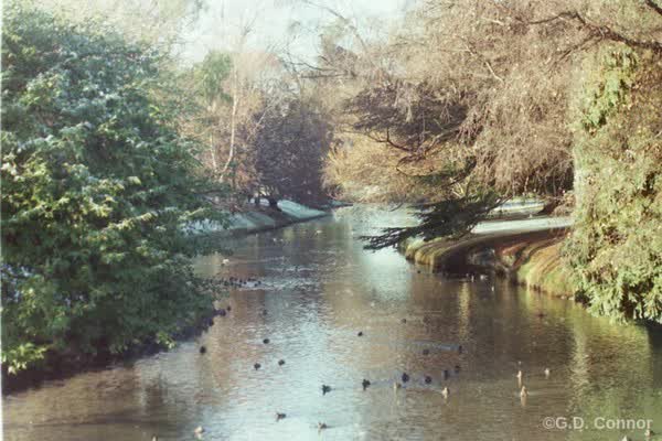 Avon River/Ōtakaro, 1990