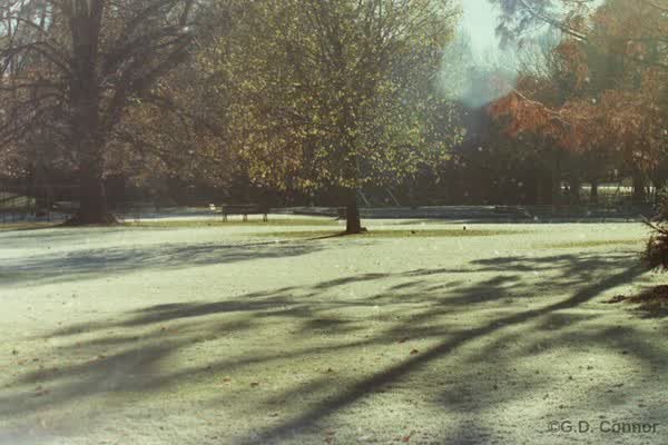 Christchurch Botanic Gardens, 1990