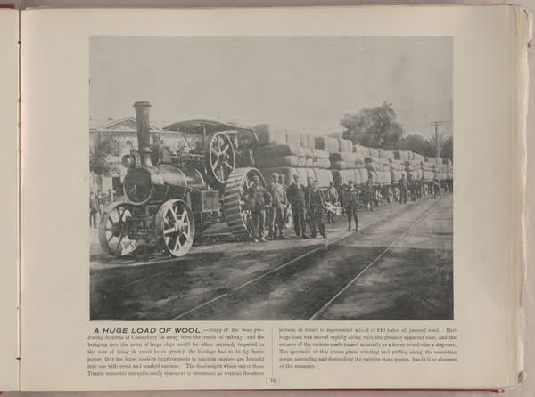 A huge load of wool, 1896