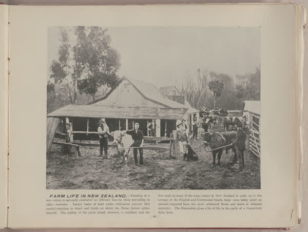 Farm life in New Zealand, 1896