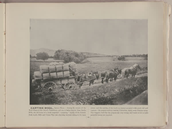 Carting wool, Leslie Hills, 1896