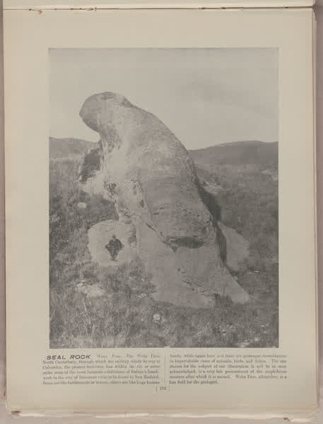 Seal Rock, Weka Pass, 1896