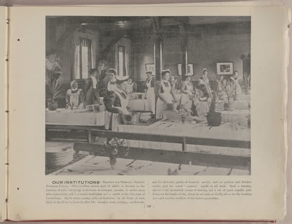 Our institutions, Burnham School, 1896