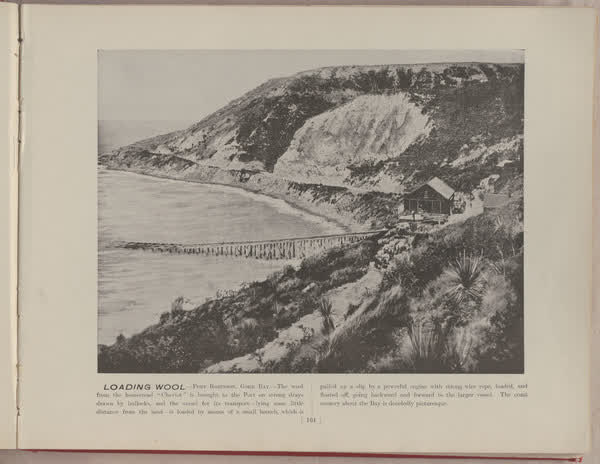 Loading wool, Port Robinson, Gore Bay, 1896