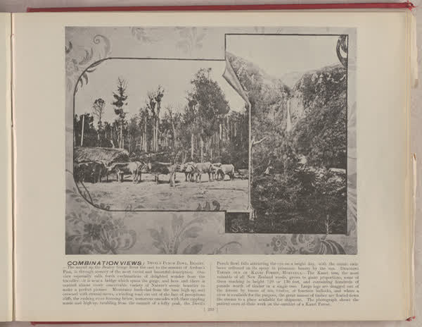 Combination views, 1896