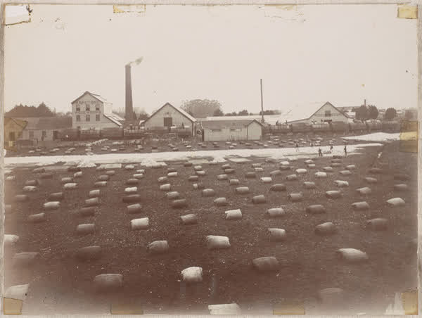 Kaputone Wool Works site, 1900