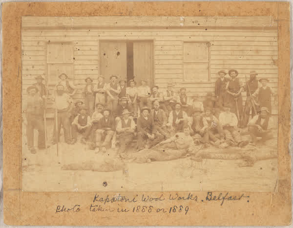 Workers of the Kaputone Wool Works, 1880