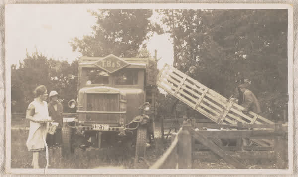 Thomas Borthwick & Sons Ltd Free Animal Ambulance, 1920