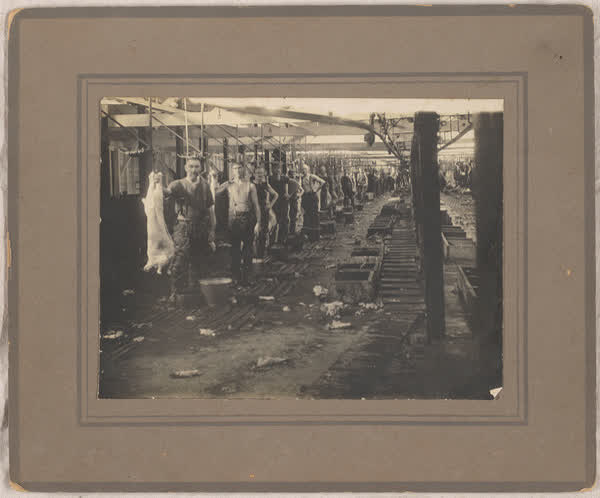 Slaughterhouse at Thomas Borthwick & Sons Ltd, 1920