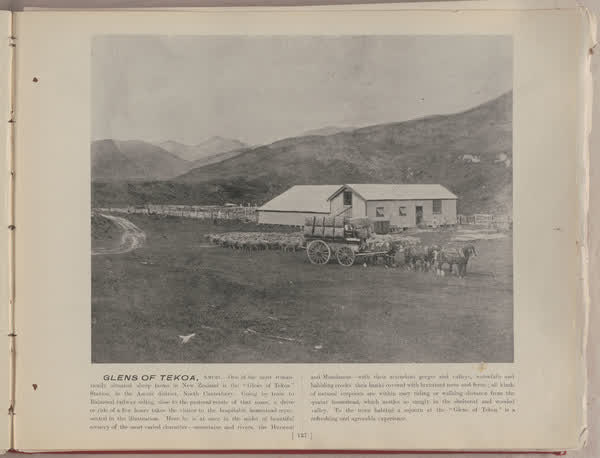Glens of Tekoa, Amuri, 1896