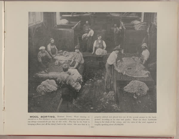 Wool sorting, Horsley Downs, 1896