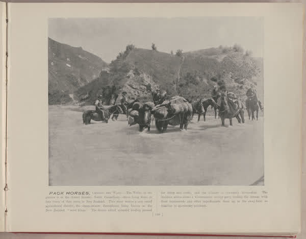 Pack horses, crossing the Waiau, 1896