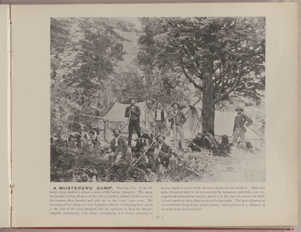A musterers' camp, 1896