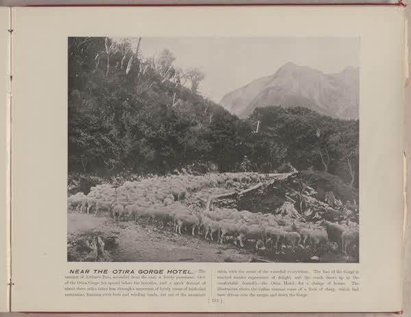 Near the Otira Gorge hotel, 1896