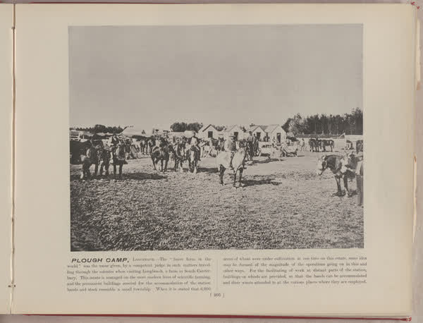 Plough Camp, Longbeach, 1896