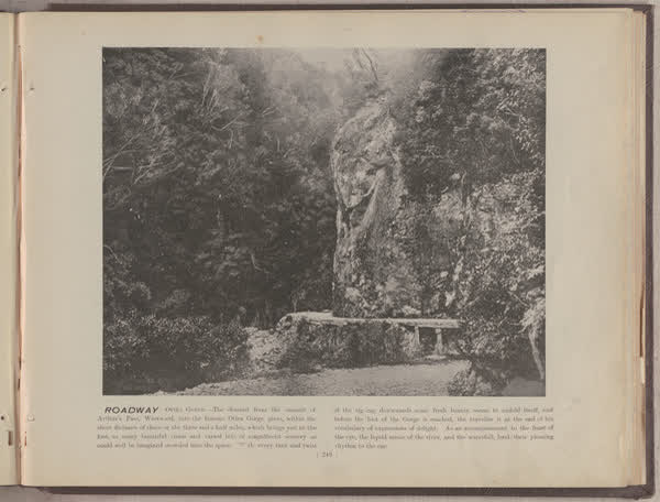 Roadway, Otira Gorge, 1896